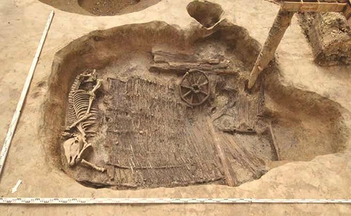 В-Троице-Сергиевой-лавре-нашли-останки-лошадей-со-следами-боевых-травм