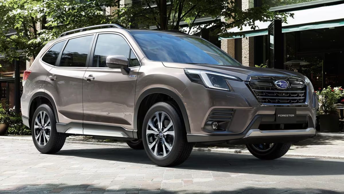 К-дилеру-в-Воронеже-приехала-партия-новых-subaru-forester-с-2,0-литровым-мотором-и-полным-приводом-—-от-5,4-млн-рублей