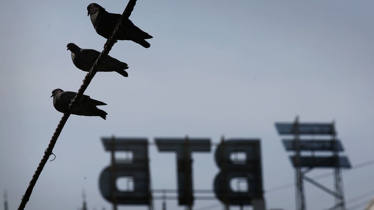 Фото: В ВТБ назвали сроки ощутимого эффекта от партнерства с РВБ