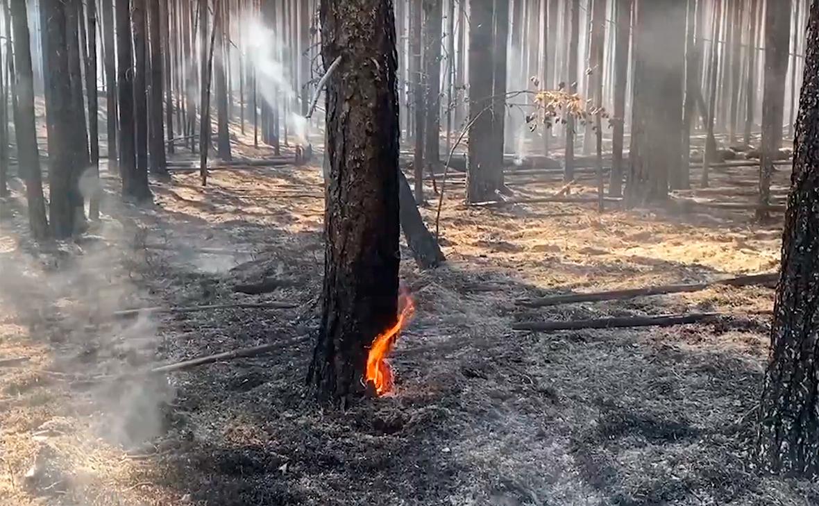 Площадь-пожаров-в-Карелии-превысила-1,6-тыс.-га