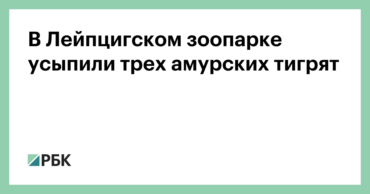 В-Лейпцигском-зоопарке-усыпили-трех-амурских-тигрят