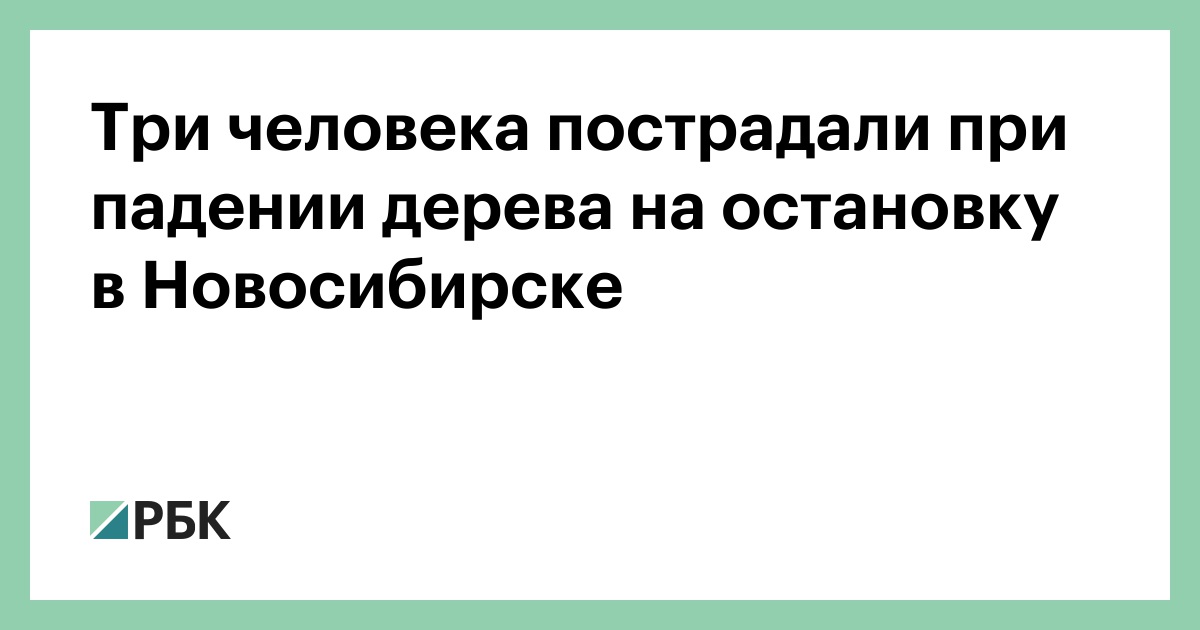 Три-человека-пострадали-при-падении-дерева-на-остановку-в-Новосибирске