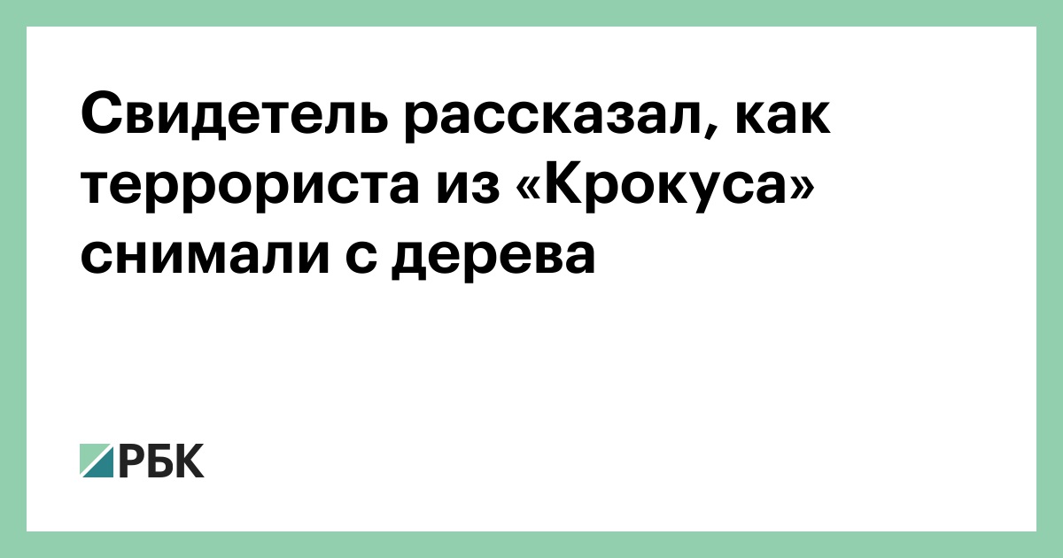 Свидетель-рассказал,-как-террориста-из-«Крокуса»-снимали-с-дерева