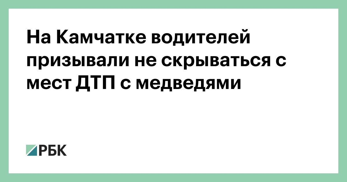 На-Камчатке-водителей-призывали-не-скрываться-с-мест-ДТП-с-медведями