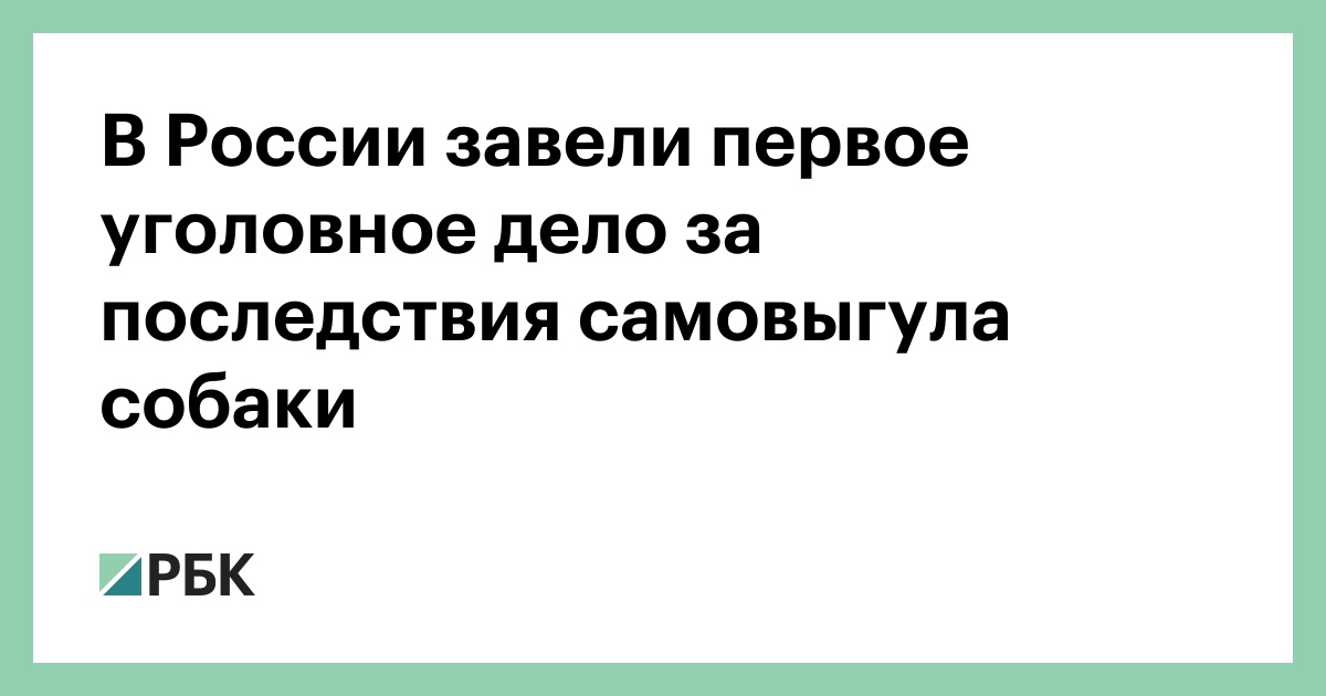 В-России-завели-первое-уголовное-дело-за-последствия-самовыгула-собаки