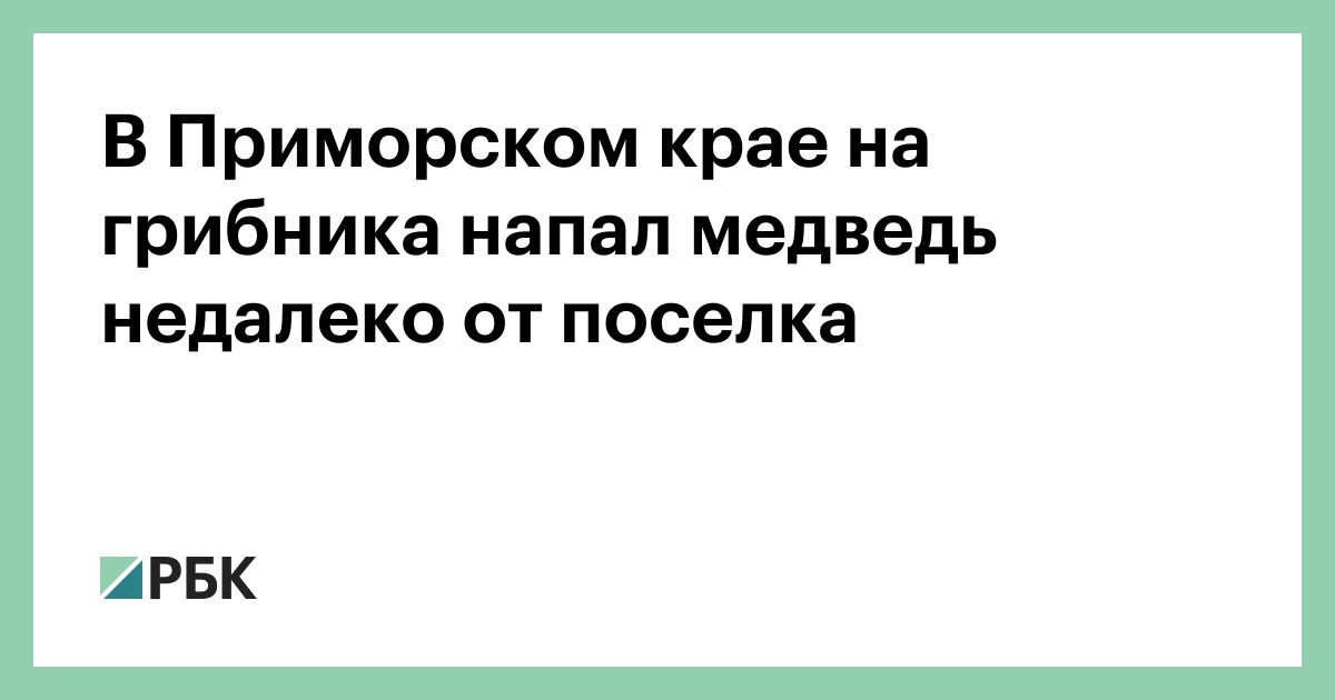 В-Приморском-крае-на-грибника-напал-медведь-недалеко-от-поселка