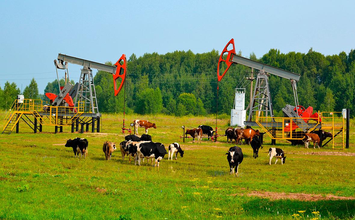 Дюков-объяснил-рост-спроса-на-нефть