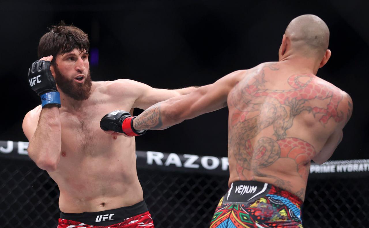 Отнимут ли-у-Анкалаева-чемпионский-пояс-ufc-в-полутяжелом-весе