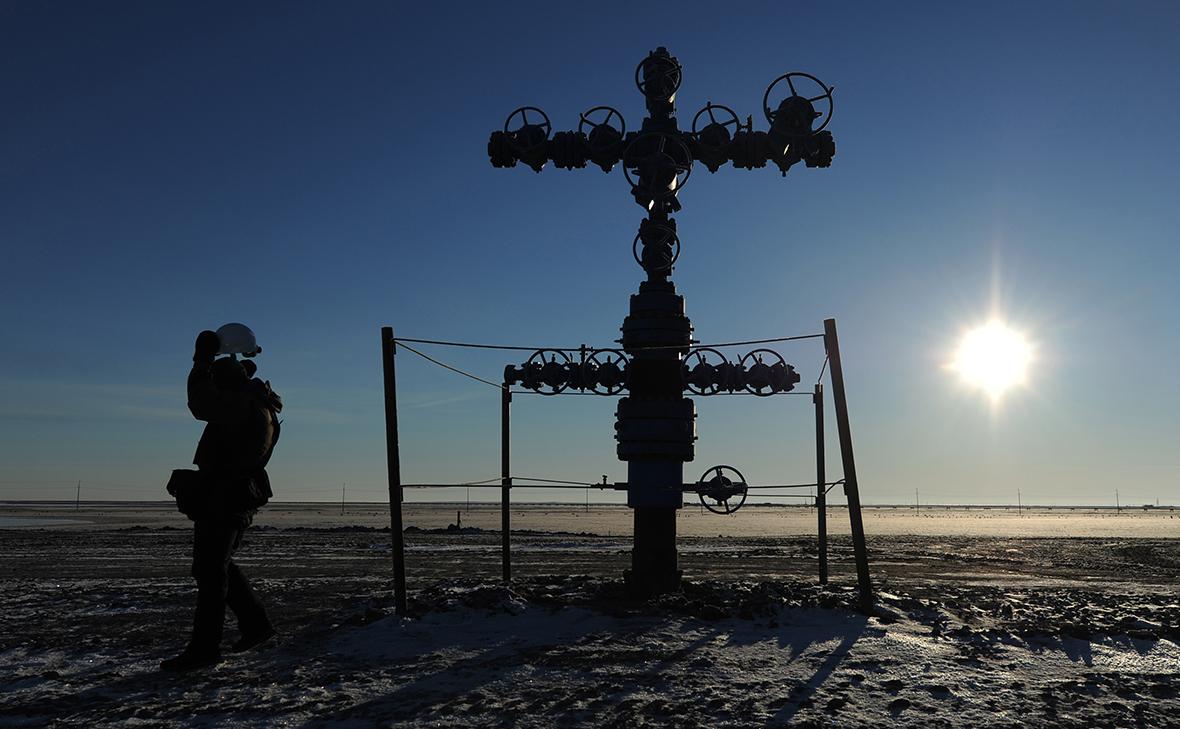 Власти-продлили-на-год-запрет-на-публикацию-данных-о-добыче-нефти-и-газа