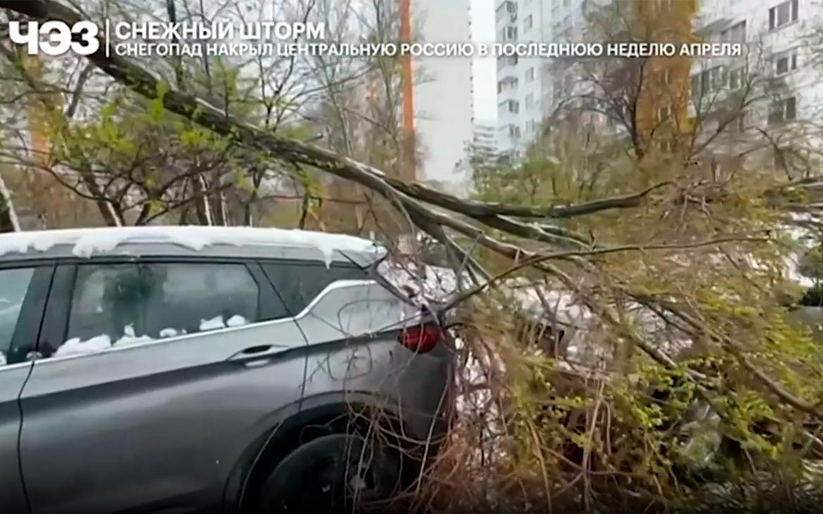 Как-Москва-пережила-снегопад-в-конце-апреля.-Репортаж-телеканала-РБК